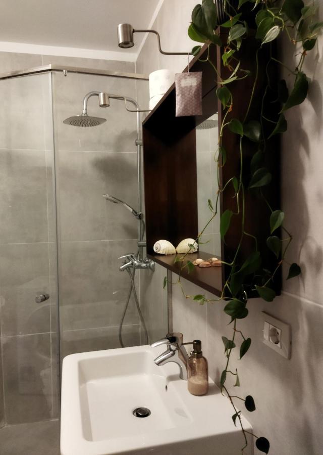 Diti Cozy Tirana